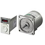 AC Speed Control Motor