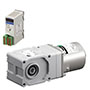 Speed Control Motor
