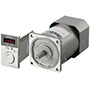 AC Speed Control Motor
